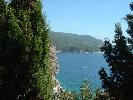 Thumbnail image of DSCF0006.JPG