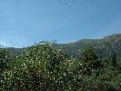 Thumbnail image of DSCF0014.JPG