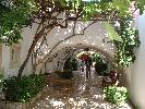 Thumbnail image of DSCF0043.JPG