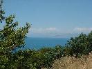 Thumbnail image of DSCF0050.JPG