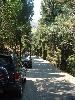 Thumbnail image of DSCF0054.JPG