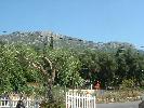 Thumbnail image of DSCF0074.JPG