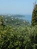 Thumbnail image of DSCF0032.JPG