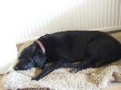 Thumbnail image of 2007_06030069.JPG