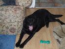 Thumbnail image of 2007_06300006.JPG