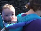 Thumbnail image of 2007_06300019.JPG