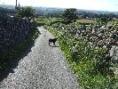 Thumbnail image of 2007_06300021.JPG