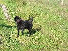 Thumbnail image of 2007_06300030.JPG