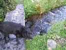 Thumbnail image of 2007_06300033.JPG