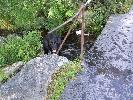 Thumbnail image of 2007_06300034.JPG