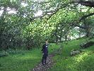 Thumbnail image of 2007_06300036.JPG