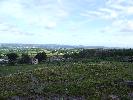 Thumbnail image of 2007_06300043.JPG
