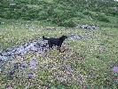 Thumbnail image of 2007_06300046.JPG