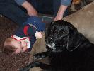 Thumbnail image of 2007_06300063.JPG