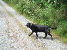 Thumbnail image of 2007_06300078.JPG
