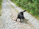 Thumbnail image of 2007_06300079.JPG