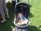 Thumbnail image of 2007_08250019.JPG