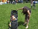Thumbnail image of 2007_08250024.JPG