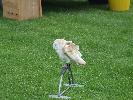 Thumbnail image of 2007_08250025.JPG