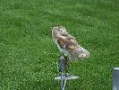 Thumbnail image of 2007_08250026.JPG