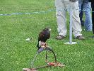 Thumbnail image of 2007_08250029.JPG