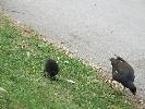 Thumbnail image of 2007_09150096.JPG