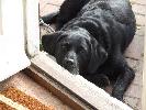 Thumbnail image of 2007_09150105.JPG
