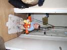 Thumbnail image of 2007_09150119.JPG