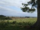 Thumbnail image of 2007_09150127.JPG