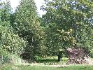 Thumbnail image of 2007_09150128.JPG