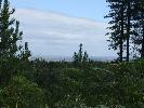Thumbnail image of 2007_09150131.JPG