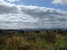 Thumbnail image of 2007_09150134.JPG