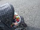Thumbnail image of 2007_09150152.JPG