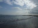 Thumbnail image of 2007_09150183.JPG