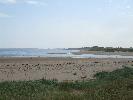 Thumbnail image of 2007_09150188.JPG