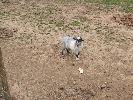 Thumbnail image of 2007_09150294.JPG