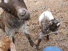 Thumbnail image of 2007_09150295.JPG
