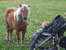 Thumbnail image of 2007_09150306.JPG