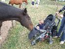 Thumbnail image of 2007_09150307.JPG
