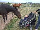 Thumbnail image of 2007_09150308.JPG