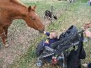 Thumbnail image of 2007_09150309.JPG