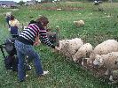 Thumbnail image of 2007_09150310.JPG