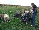 Thumbnail image of 2007_09150312.JPG