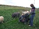 Thumbnail image of 2007_09150313.JPG