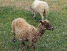 Thumbnail image of 2007_09150314.JPG