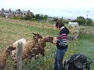 Thumbnail image of 2007_09150316.JPG
