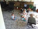 Thumbnail image of 2007_11050010.JPG