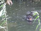 Thumbnail image of 2007_11050049.JPG