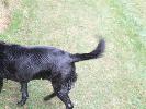 Thumbnail image of 2007_11050051.JPG