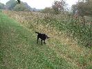 Thumbnail image of 2007_11050052.JPG